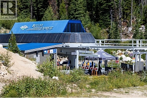 345 Feathertop Way - Photo 53