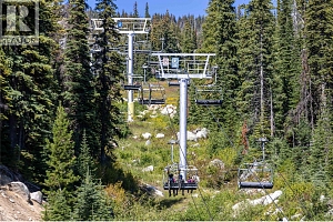 345 Feathertop Way - Photo 55