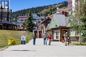 345 Feathertop Way - Photo 56