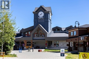 345 Feathertop Way - Photo 58