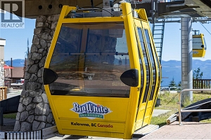 345 Feathertop Way - Photo 59