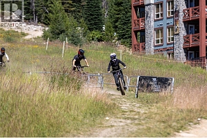 345 Feathertop Way - Photo 60