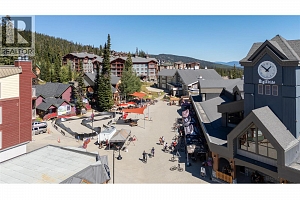 345 Feathertop Way - Photo 61