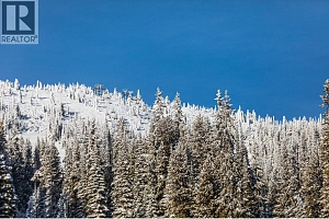 345 Feathertop Way - Photo 62