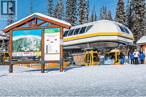 345 Feathertop Way - Photo 67