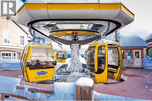 345 Feathertop Way - Photo 68