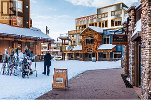 345 Feathertop Way - Photo 71