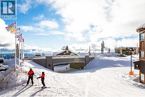 345 Feathertop Way - Photo 72