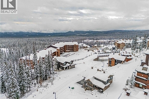 345 Feathertop Way - Photo 80