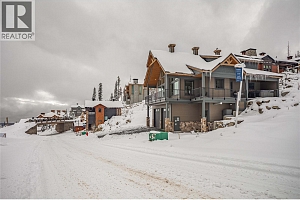 345 Feathertop Way - Photo 86