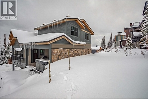 345 Feathertop Way - Photo 9