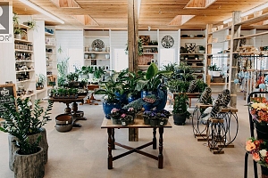 7920 Highland Road - Photo 5