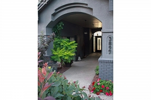 3897 Gallaghers Grange - Photo 42
