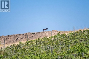 4491 Hebbert Road - Photo 24