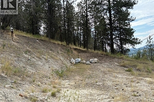 4491 Hebbert Road - Photo 88