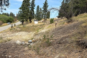 4491 Hebbert Road - Photo 91