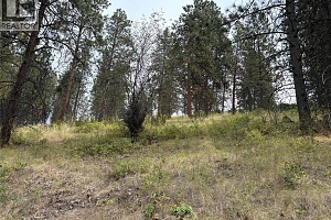 4491 Hebbert Road - Photo 93