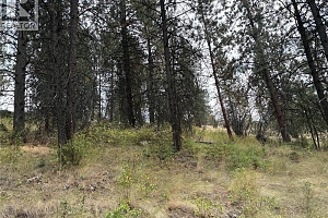 4491 Hebbert Road - Photo 95