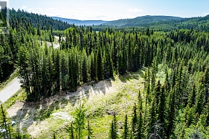 Lot #3 Paradise Road - Photo 29