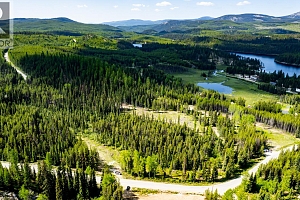 Lot #2 Paradise Road - Photo 13