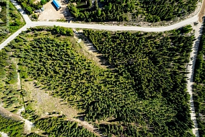 Lot #2 Paradise Road - Photo 2