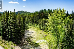 Lot #2 Paradise Road - Photo 30