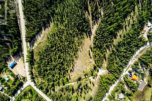 Lot #1 Paradise Road - Photo 4