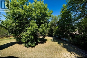 11307 Coldstream Creek Road - Photo 16