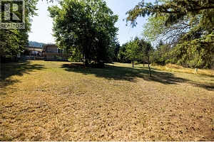 11307 Coldstream Creek Road - Photo 17