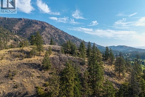 2370 Tallus Ridge Drive - Photo 10