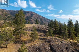 2370 Tallus Ridge Drive - Photo 11