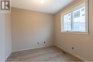 4317 Painted Turtle Drive - Photo 18