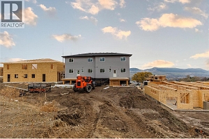 4317 Painted Turtle Drive - Photo 4