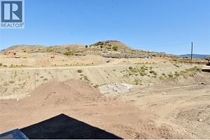 4317 Painted Turtle Drive - Photo 55