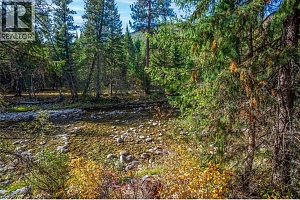 60 Pringle Road - Photo 39