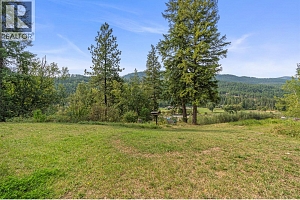 995 Shuswap River Drive - Photo 16