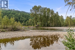 995 Shuswap River Drive - Photo 3