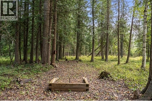 995 Shuswap River Drive - Photo 56