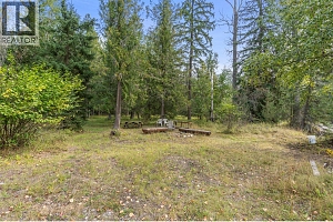 995 Shuswap River Drive - Photo 61