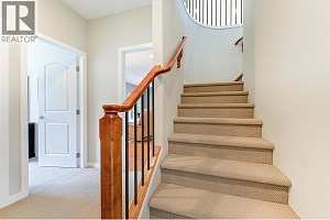 2497 Wild Horse Drive - Photo 33
