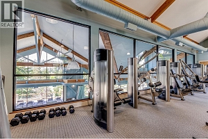 436 Predator Ridge Drive - Photo 50