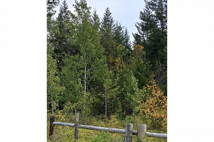 Hitchcock Road - Photo 2