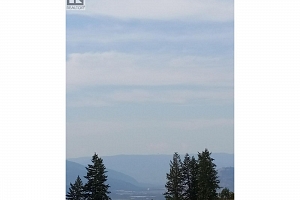 Hitchcock Road - Photo 3