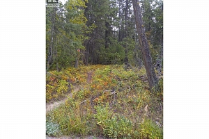 Hitchcock Road - Photo 4