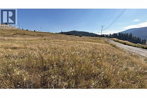 Lot 1 Hwy 33 Highway E - Photo 10
