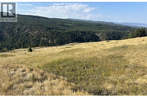 Lot 1 Hwy 33 Highway E - Photo 13