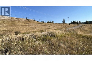 Lot 1 Hwy 33 Highway E - Photo 14