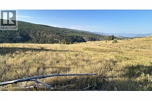 Lot 1 Hwy 33 Highway E - Photo 16
