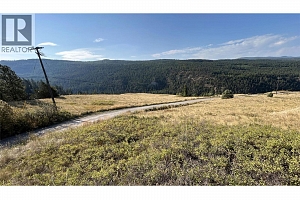 Lot 1 Hwy 33 Highway E - Photo 16