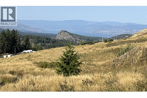 Lot 1 Hwy 33 Highway E - Photo 17